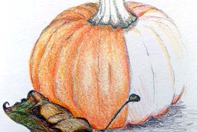fall-nature-drawing-2024-pumpkin